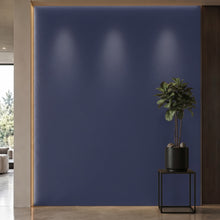 Bodaq S204 interior film rendered on a feature wall