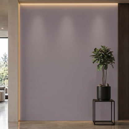 Bodaq S209 interior film rendered on a feature wall