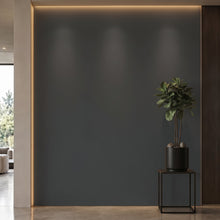Bodaq S211 interior film rendered on a feature wall