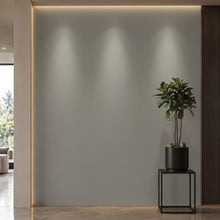 Bodaq S212 interior film rendered on a feature wall