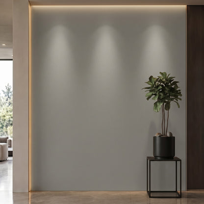 Bodaq S212 interior film rendered on a feature wall