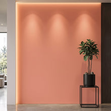 Bodaq S213 interior film rendered on a feature wall
