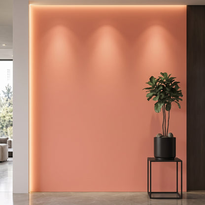 Bodaq S213 interior film rendered on a feature wall