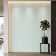 Bodaq S214 interior film rendered on a feature wall