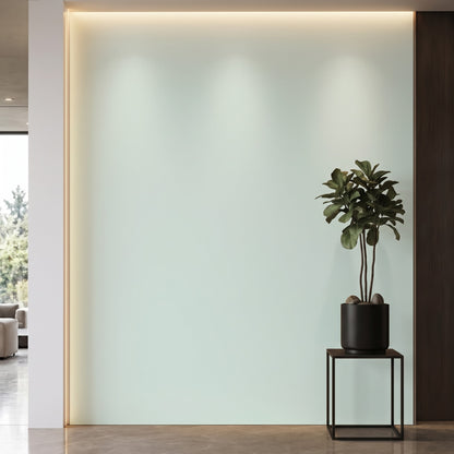 Bodaq S214 interior film rendered on a feature wall