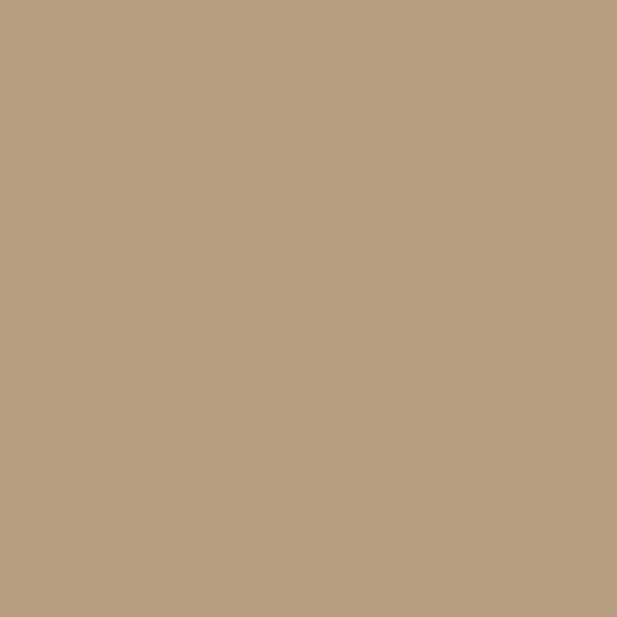 Bodaq S215 Almond Latte interior film swatch, Solid Color Collection