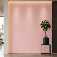 Bodaq S217 interior film rendered on a feature wall