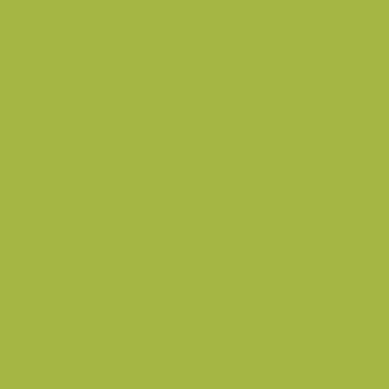 Bodaq S219 Grass Green interior film swatch, Solid Color Collection