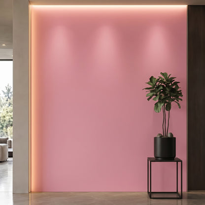 Bodaq S232 interior film rendered on a feature wall
