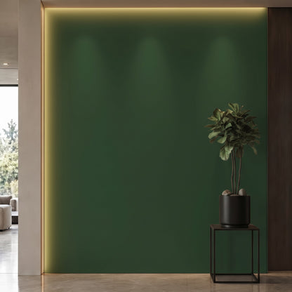 Bodaq S233 interior film rendered on a feature wall