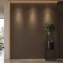 Bodaq S234 interior film rendered on a feature wall