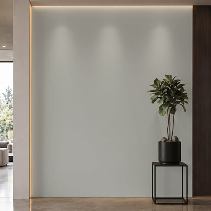 Bodaq S239 interior film rendered on a feature wall