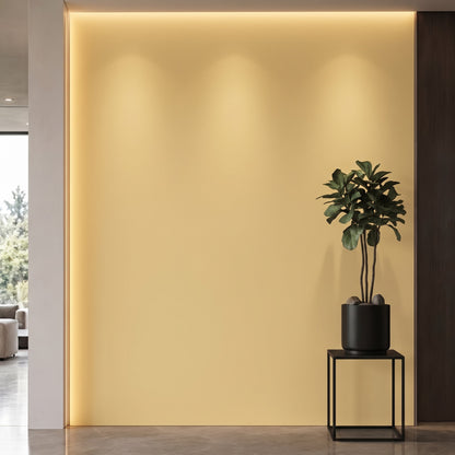 Bodaq S241 interior film rendered on a feature wall