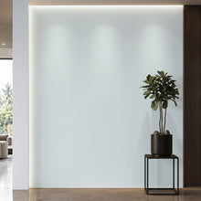 Bodaq S243 interior film rendered on a feature wall