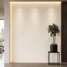 Bodaq S245 interior film rendered on a feature wall