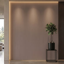 Bodaq S247 interior film rendered on a feature wall