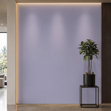 Bodaq S249 interior film rendered on a feature wall