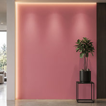 Bodaq S250 interior film rendered on a feature wall