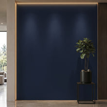 Bodaq S254 interior film rendered on a feature wall