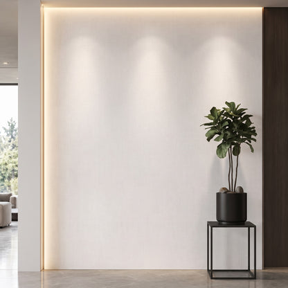 Bodaq S255 interior film rendered on a feature wall