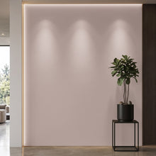 Bodaq S257 interior film rendered on a feature wall