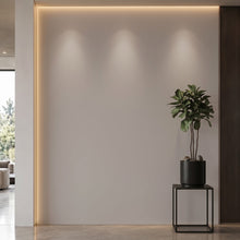 Bodaq S258 interior film rendered on a feature wall