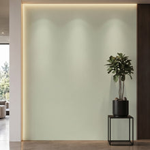Bodaq S261 interior film rendered on a feature wall