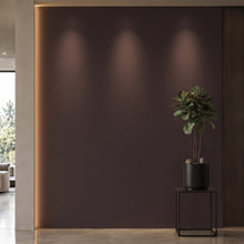 Bodaq S262 interior film rendered on a feature wall