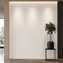 Bodaq S265 interior film rendered on a feature wall