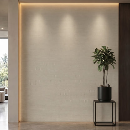 Bodaq SF803 interior film rendered on a feature wall