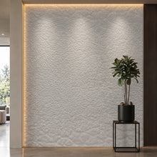Bodaq SL401 interior film rendered on a feature wall