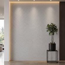 Bodaq SL401 interior film rendered on a feature wall