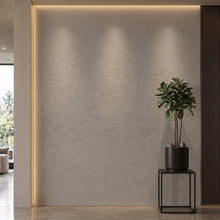 Bodaq SL402 interior film rendered on a feature wall