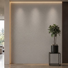 Bodaq SL402 interior film rendered on a feature wall