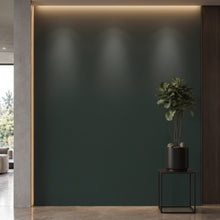 Bodaq SMT10 Super Matt interior film rendered on a feature wall