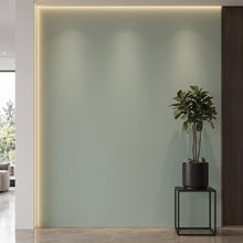 Bodaq SMT20 Super Matt interior film rendered on a feature wall