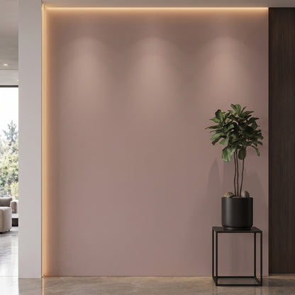 Bodaq SMT21 Super Matt interior film rendered on a feature wall