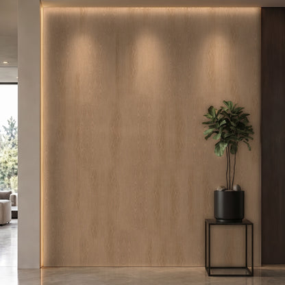 Bodaq SPW01 interior film rendered on a feature wall