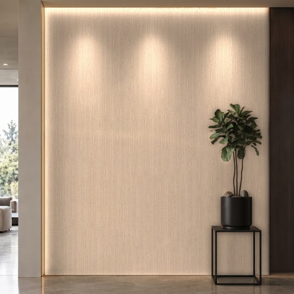 Bodaq SPW05 interior film rendered on a feature wall