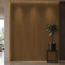 Bodaq SPW10 interior film rendered on a feature wall