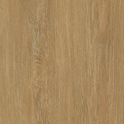 Bodaq SPW12 White Oak interior film swatch, Origin Wood Collection