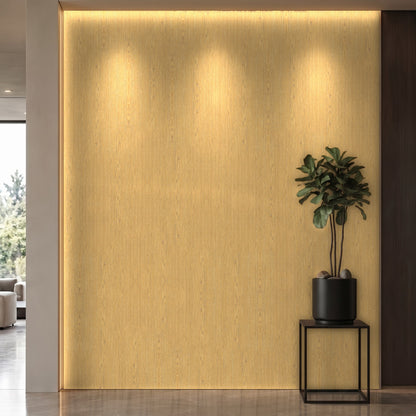 Bodaq SPW13 interior film rendered on a feature wall