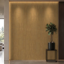 Bodaq SPW19 interior film rendered on a feature wall