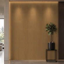 Bodaq SPW20 interior film rendered on a feature wall