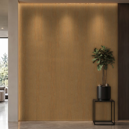 Bodaq SPW20 interior film rendered on a feature wall
