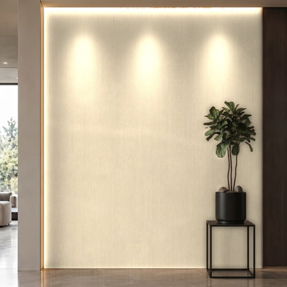 Bodaq SPW22 interior film rendered on a feature wall