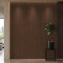 Bodaq SPW28 interior film rendered on a feature wall