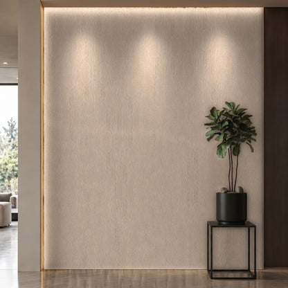 Bodaq SPW29 interior film rendered on a feature wall