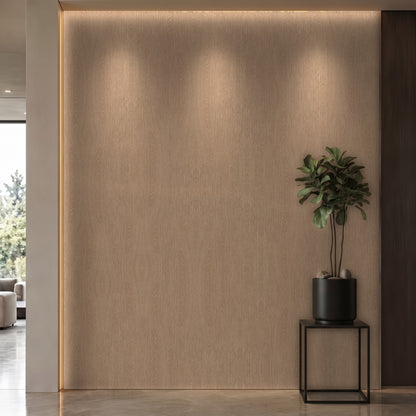 Bodaq SPW30 interior film rendered on a feature wall