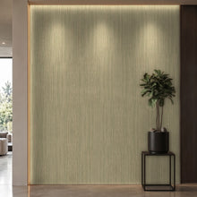 Bodaq SPW38 interior film rendered on a feature wall
